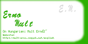 erno mult business card